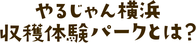 やるじゃん横浜収穫体験パークとは？