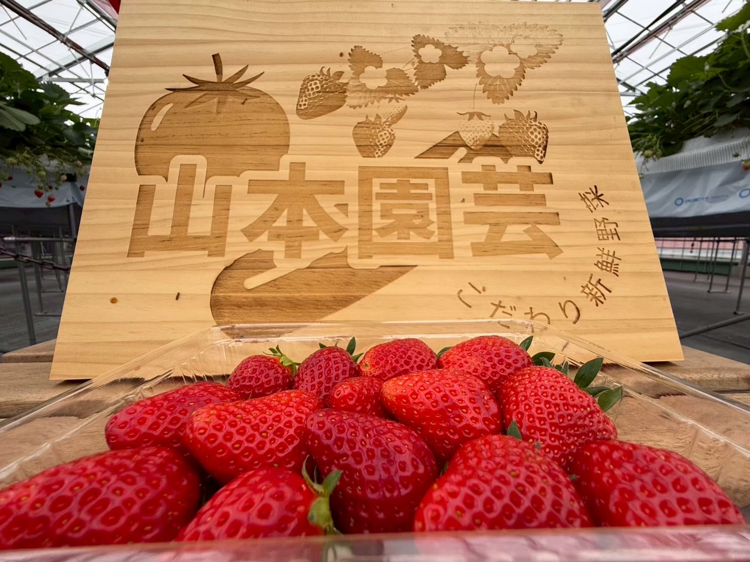 いちごページ TBLS shopping